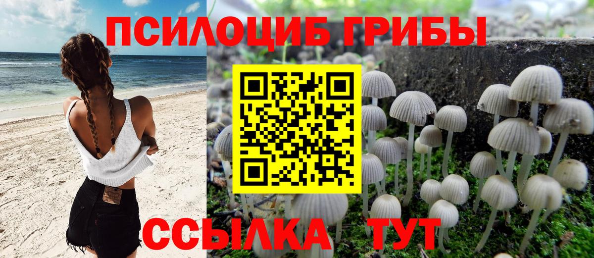 Галлюциногенные грибы MAGIC MUSHROOMS  Псилоцибиновые грибы Cubensis  Вход с VPN  Зеленодольск 