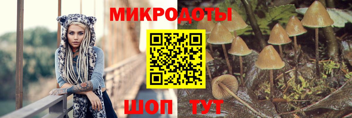Галлюциногенные грибы мицелий Зеленодольск